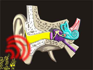 Buzzing In The Ear Buzzing In The Ear